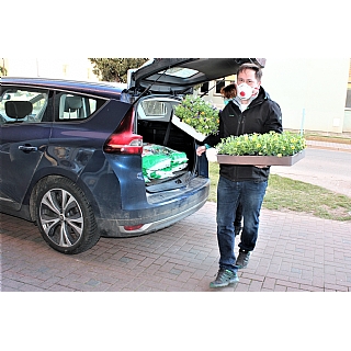 miniatura Síla komunity v době koronavirové 5