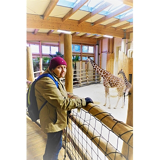 miniatura Lednový výlet do ZOO potěšil naše seniory 4