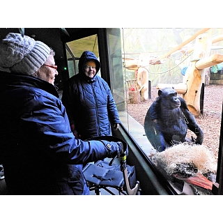 miniatura Lednový výlet do ZOO potěšil naše seniory 5