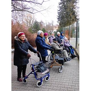 miniatura Lednový výlet do ZOO potěšil naše seniory 6