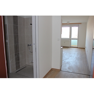 miniatura Modernizace bytů v DPS  2