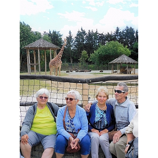 miniatura Na kafíčko do ZOO kempu a další výlety 4